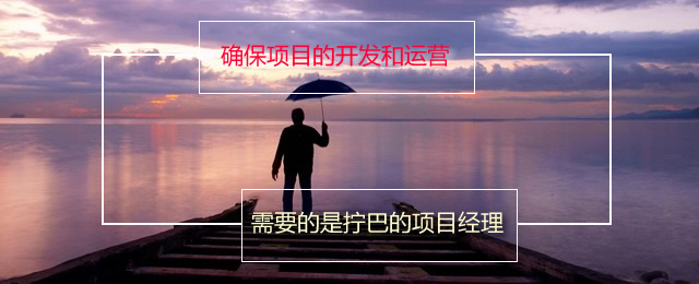 项目开发运营